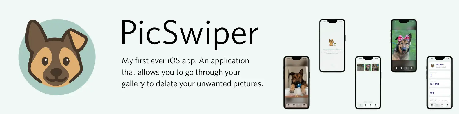PicSwiper